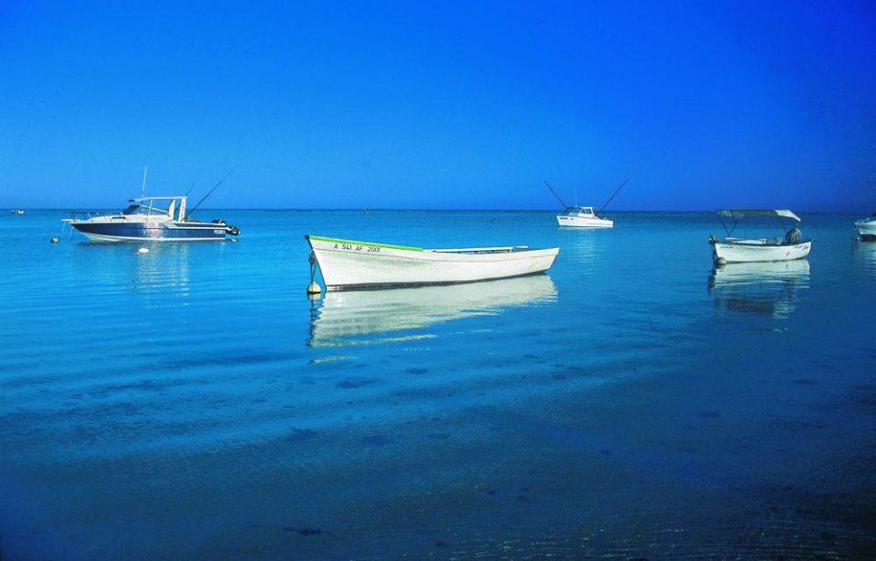 Copyright @ Comité Martiniquais du Tourisme www.martiniquetourisme.org Martinique