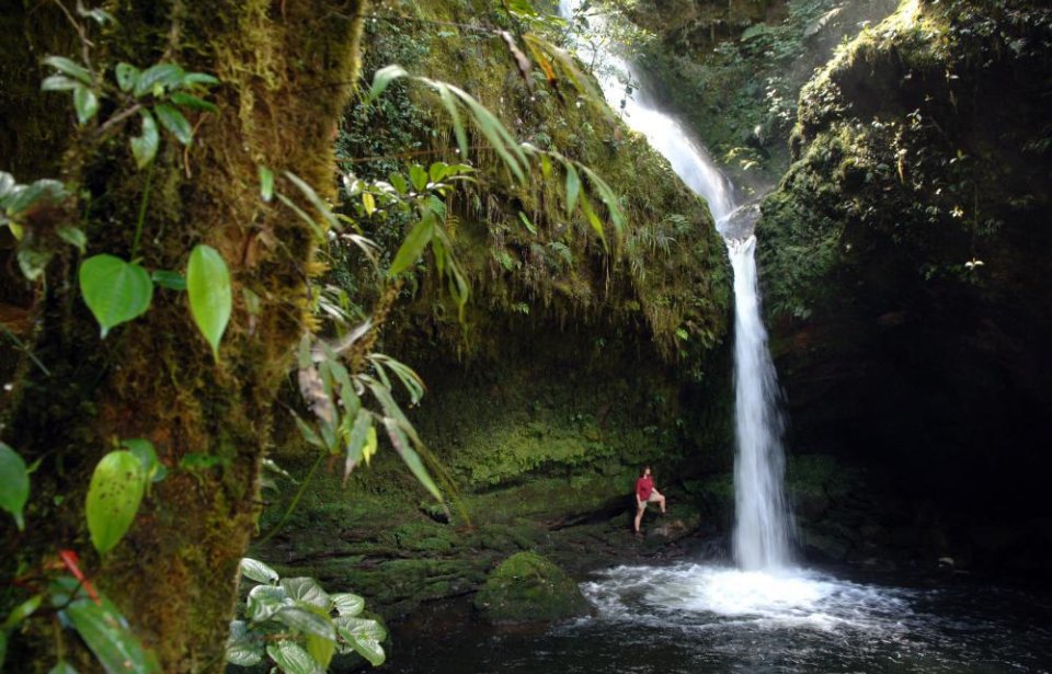 Papua uusi-guinea