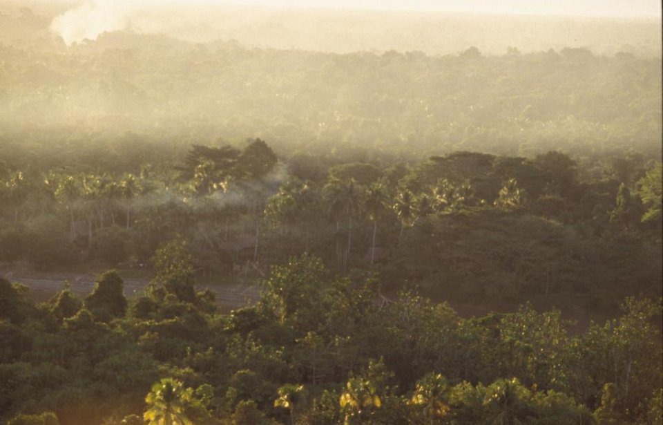 Papua uusi-guinea