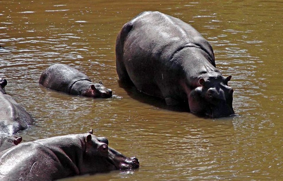 Kenia