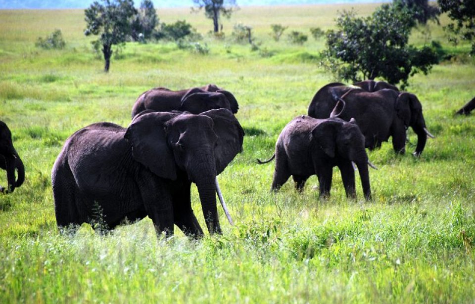Kenia