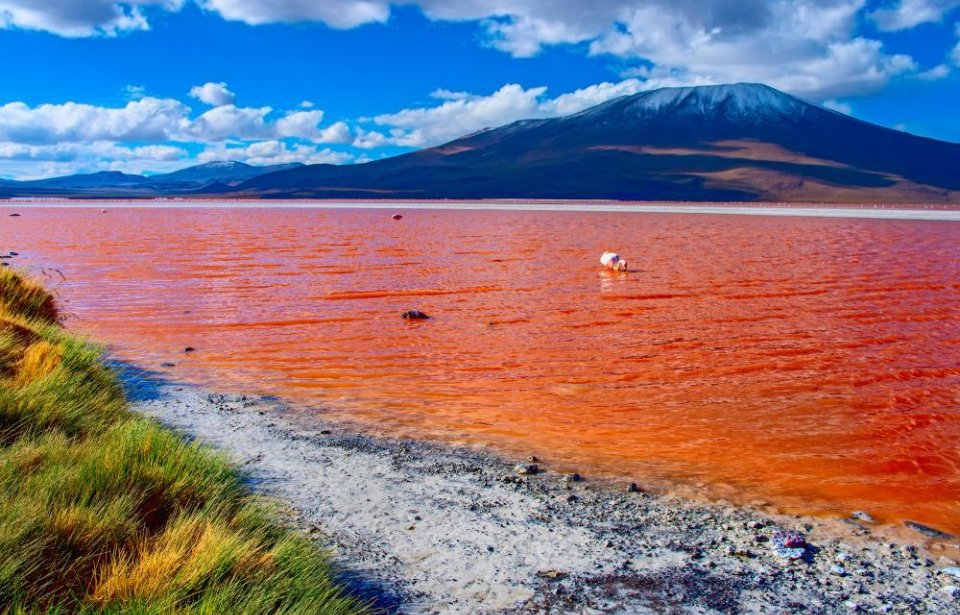Bolivia