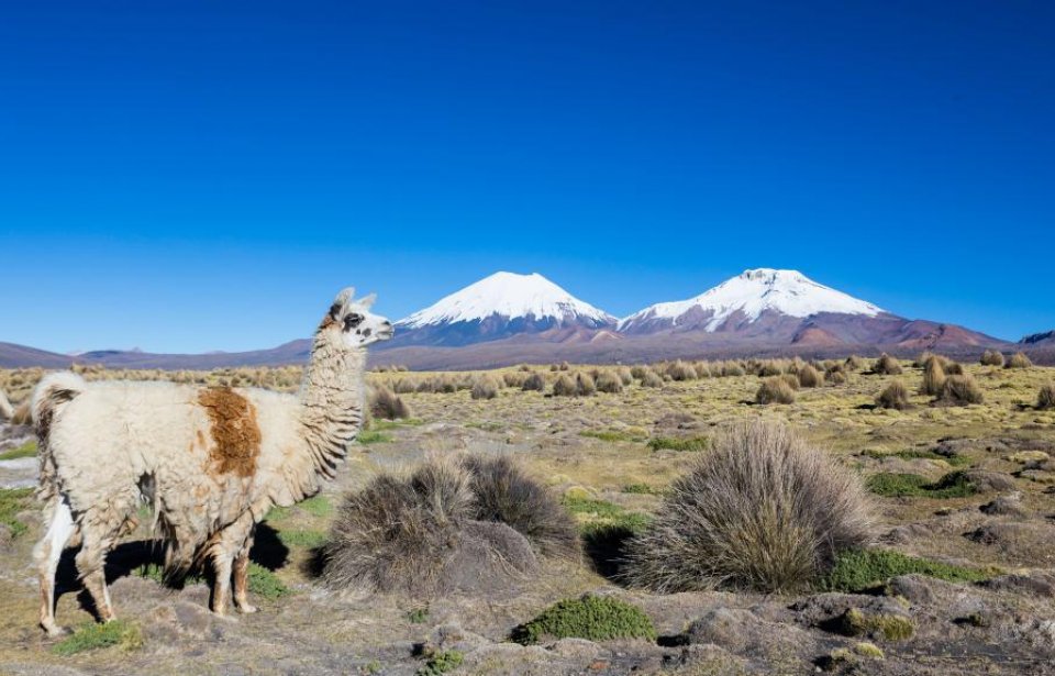 Bolivia