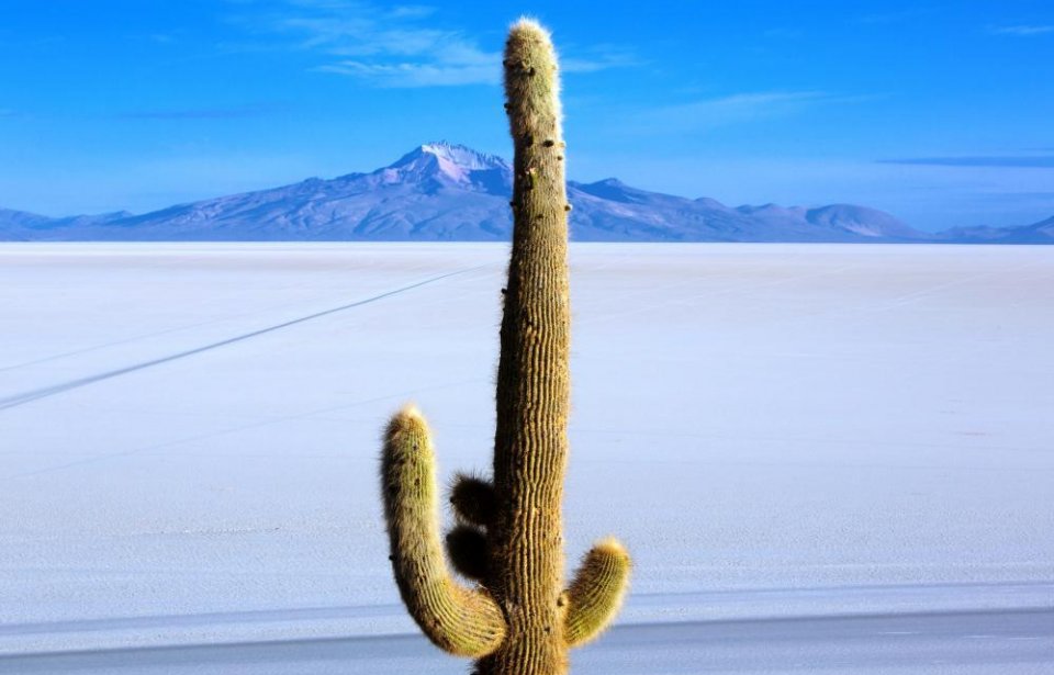 Bolivia